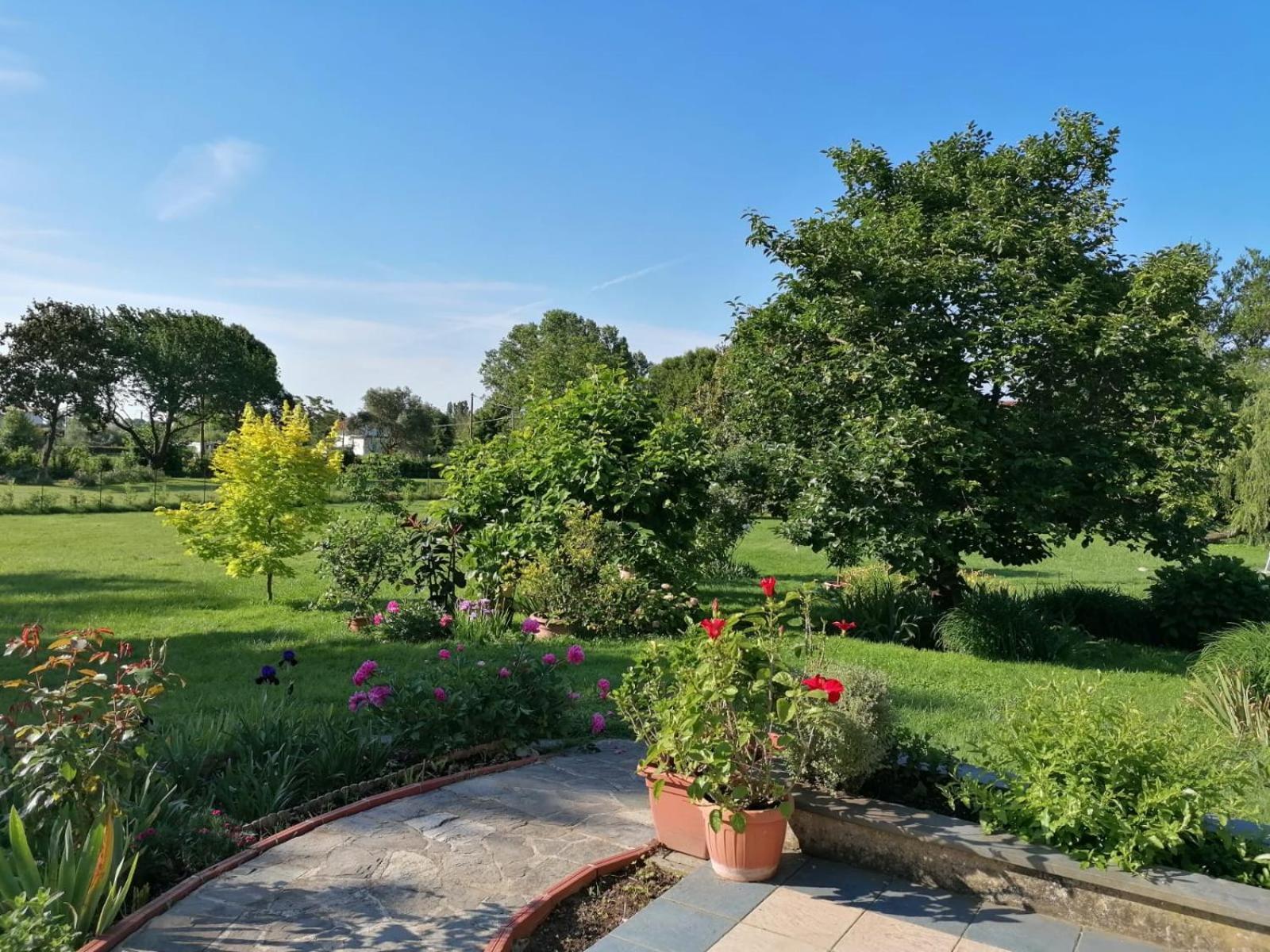 Versilia - Pietrasanta - Le Colmate Guesthouse Tonfano Exteriör bild