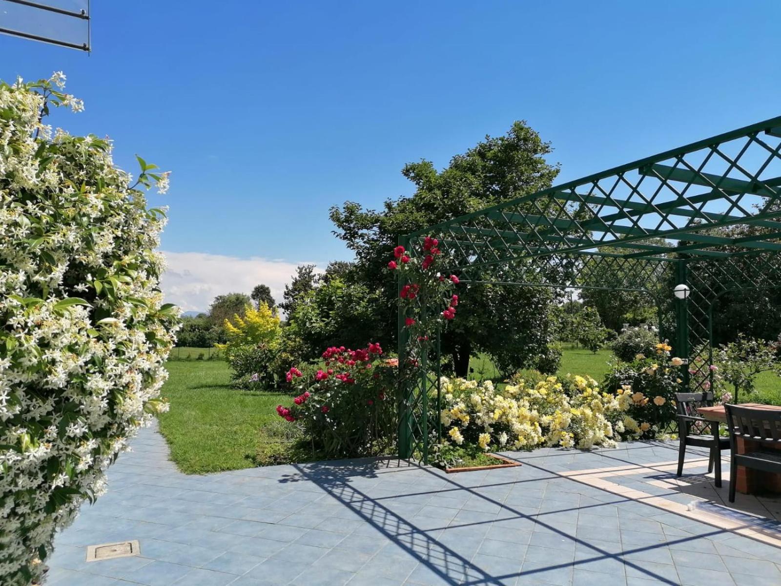 Versilia - Pietrasanta - Le Colmate Guesthouse Tonfano Exteriör bild