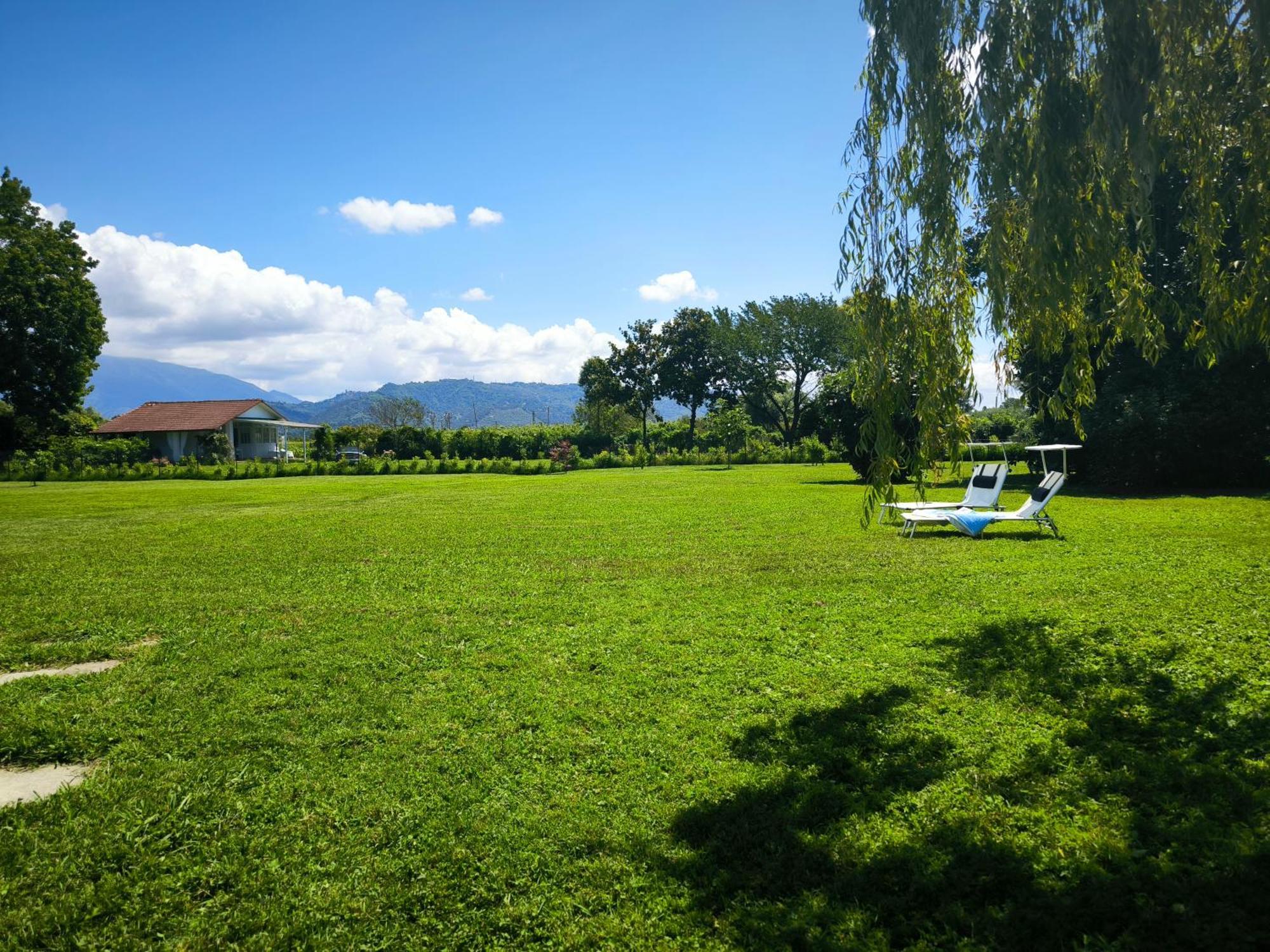 Versilia - Pietrasanta - Le Colmate Guesthouse Tonfano Exteriör bild