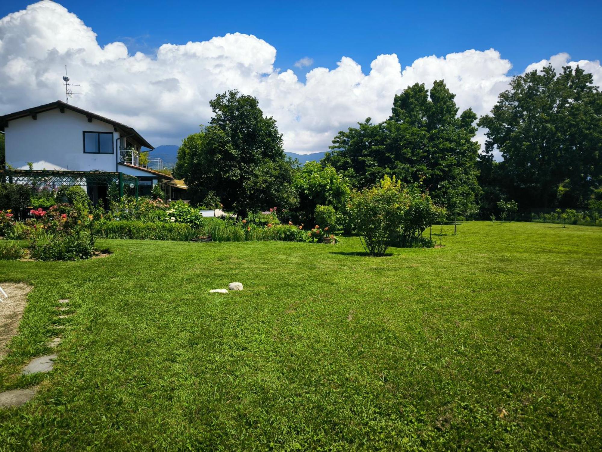 Versilia - Pietrasanta - Le Colmate Guesthouse Tonfano Exteriör bild