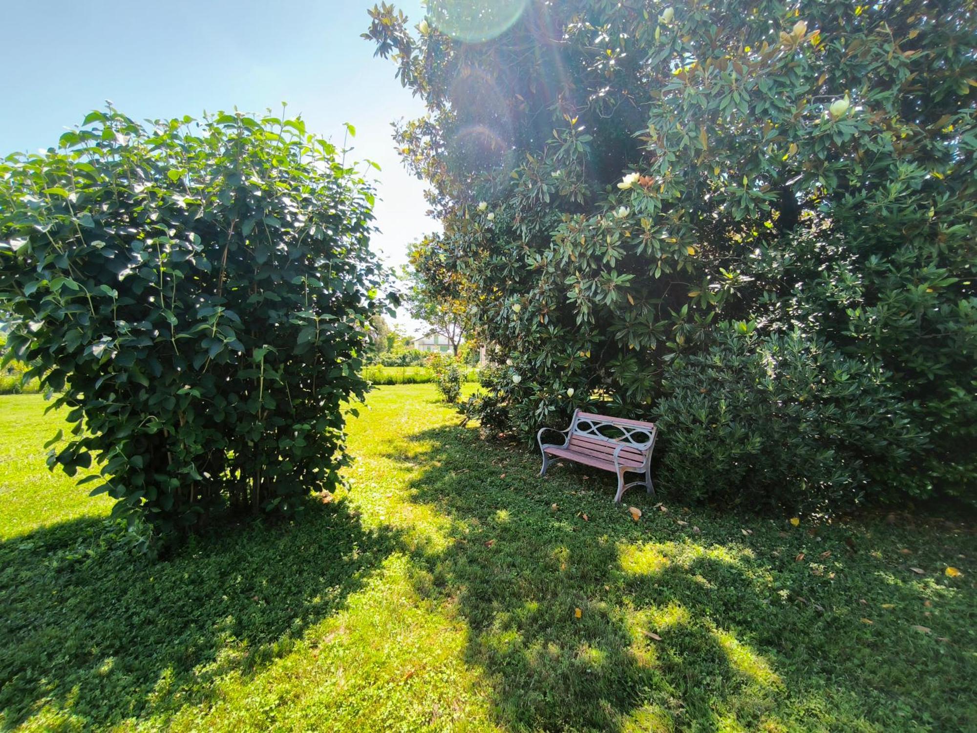 Versilia - Pietrasanta - Le Colmate Guesthouse Tonfano Exteriör bild